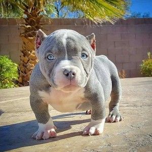 Meet your Posher, Paris